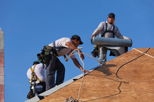 Best Roof Gutter Cleaning  in Buena Vista, GA