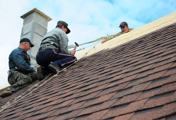 Best Best Roofing Contractors  in Buena Vista, GA