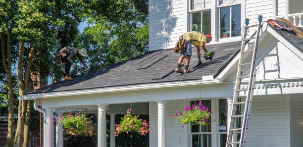 Best Roof Gutter Cleaning  in Buena Vista, GA