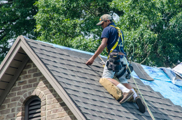 Best New Roof Installation  in Buena Vista, GA