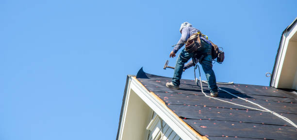 Best Roof Maintenance Services  in Buena Vista, GA
